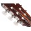 Cort AC200-34-OP with bag
