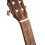 Cort AC100DX-OP