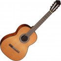 Cort AC100-SG