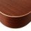 Cort AC100-SG