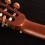 Cort AC100-SG