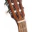 Cort AC70-OP with bag
