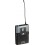 Sennheiser SK-XSW-B