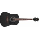 Ibanez V54NJP-WK