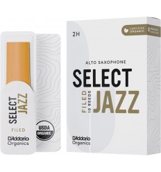 Rico by D-Addario ORSF10ASX2H