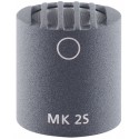 Schoeps MK 2S