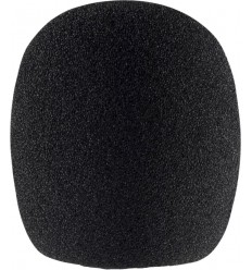 Sennheiser MZW 8000