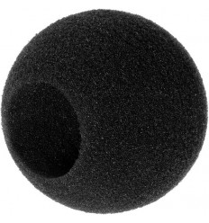 Sennheiser MZW 421-A