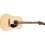 Fender California Standard Redondo Natural