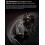 KZ Acoustics Decet Tuning