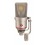 Neumann TLM 170 R