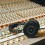 Audio Technica ATH-R50x