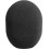 Neumann WS 2