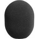Neumann WS 2