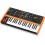 Behringer POLY D