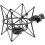 Neumann EA 2 MT