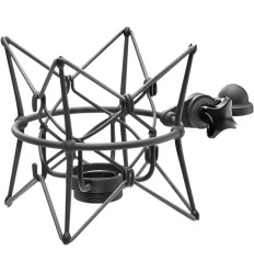 Neumann EA 2 MT