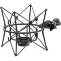 Neumann EA 2 MT