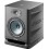 Focal Alpha 65 EVO