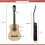 Classic Cantabile AS-851 Classical Guitar 3/4