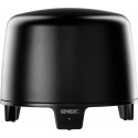 Genelec F Two