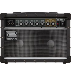 Roland JC-22