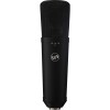 Warm Audio WA-87 R2B