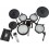 Roland TD313