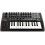 Arturia MiniBrute 2 Noir