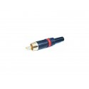 Rean NYS373-2