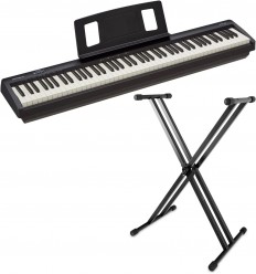 Roland FP-10 + Stativ