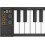 Carry-On Folding MIDI Controller 49