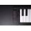 Carry-On Folding MIDI Controller 49