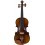 Karl Hoffmeister MV015B Vioara 3/4 Advanced