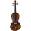 Karl Hoffmeister MV015B Vioara 1/2 Advanced