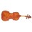 Karl Hoffmeister MV100 Conservatory Vioara 4/4