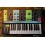 Moog Grandmother