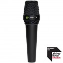 Lewitt MTP W950