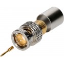 Damar & Hagen BNCPro plug 75 Ohm - UHD Damar & Hagen / group 167