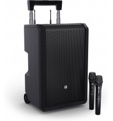 LD Systems ANNY 10 HHD 2 B6