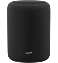 WiiM Sound Lite