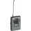 Sennheiser SK-XSW-A