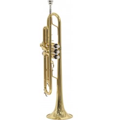 Parrot 6416L-1