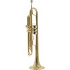 Parrot 6416L-1