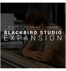 Steven Slate Audio SSD Blackbird Expansion