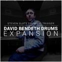 Steven Slate Audio SSD David Bendeth Expansion