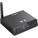FiiO BR13 Black