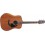 Takamine GD11M-NS
