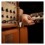 Adam Hall 4 STAR IRR 0060 VINTAGE 0.6m