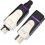 Xvive U35C Condenser Microphone Wireless System